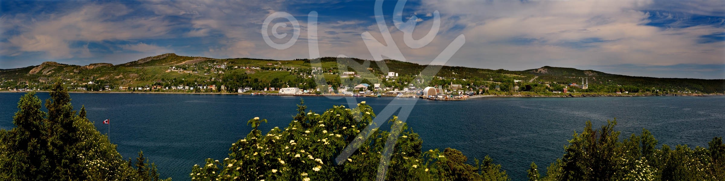 Harbour Grace